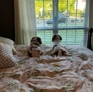 Meet your Posher, Lori